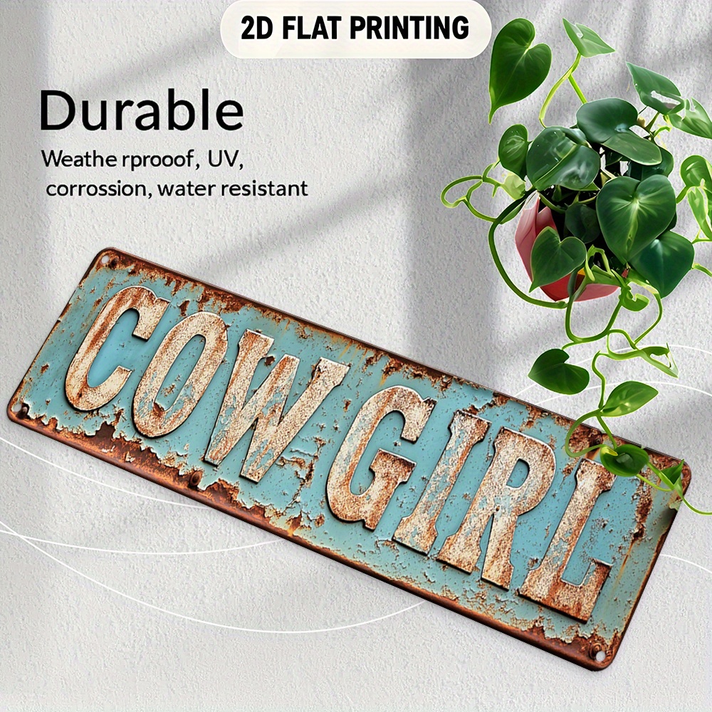 2D Metal Cowgirl Wall Art - Vi - Brass Weight Plate 评论和价格