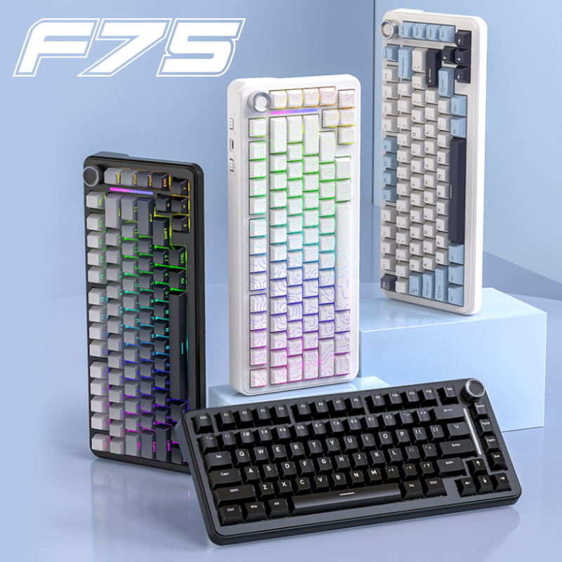 75% Hot Swap Gaming Keyboard W - Gaming Keyboard Expensive 评论和价格
