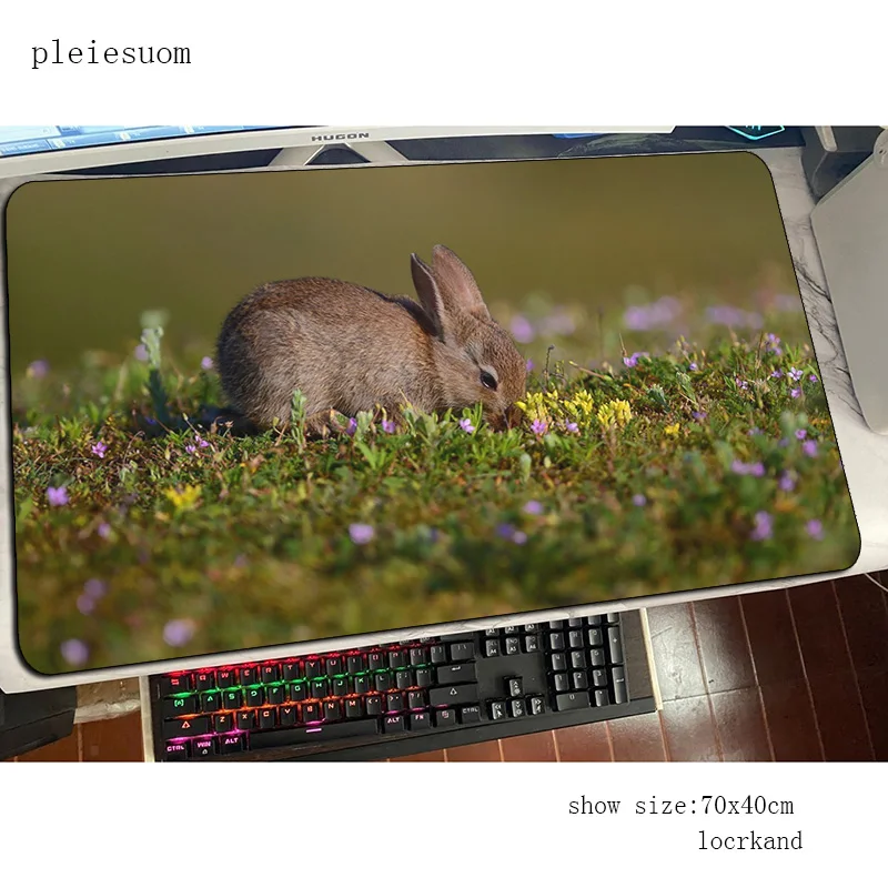 Rabbit cute mouse pad best mou - Gaming Keyboard Best 评论和价格